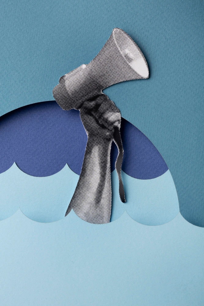 Oglašavanje na društvenim mrežama